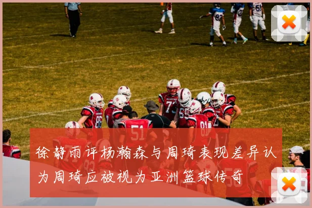 徐静雨评杨瀚森与周琦表现差异认为周琦应被视为亚洲篮球传奇